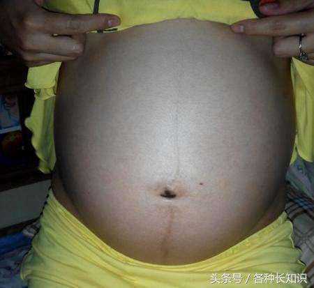 香港验血不到七周行不,成功备孕男宝宝附上怀孕症状跟经验