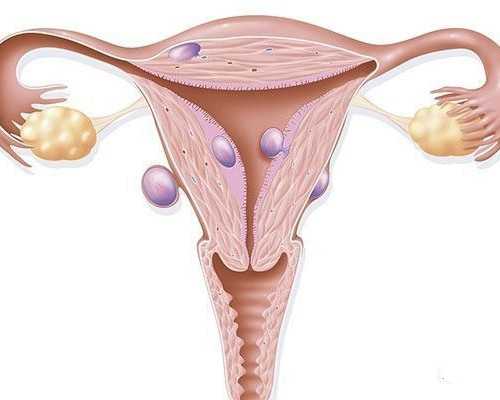 香港验血生男生女是真的吗_香港抽血查男女要空腹吗_你想知道的这里都有!