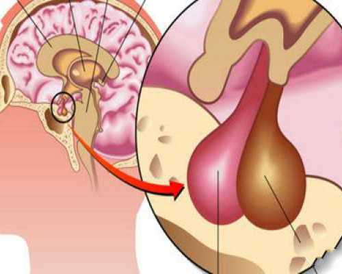 帮人预约香港验血有回扣吗_香港验血男女80天_香港验血报告怎么看