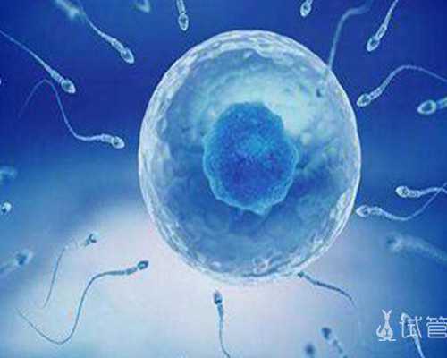 香港验血准的吗_深圳罗湖区医院检查验血寄香港_性别鉴定会不会翻盘!