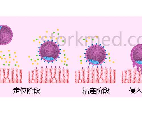 香港卓信验血性别有出错的吗_香港验血hkdha报告单准不准_有没有验血最后翻盘
