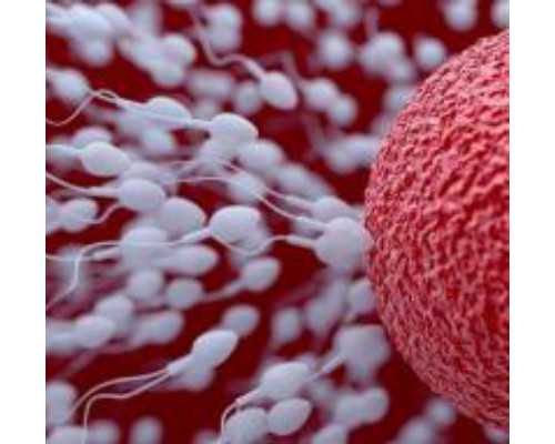 南京哪个医院可以香港验血的_怀孕几周香港查男女_查胎儿性别要多少钱!