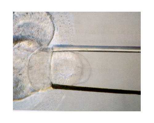 排污泵可以在水里泡着吗？潜污泵用过后需要拿出来吗？