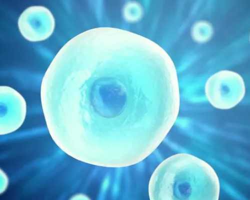 香港验血不相信结果_香港验血试管婴儿不准_验血查男女应该注意什么