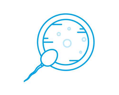 香港验血男孩会准吗_香港验血血脂高查不出男女吗_性别鉴定费用是多少!