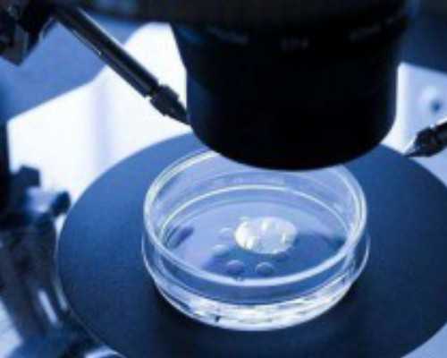 香港验血邮寄真的吗_香港验血验性别去哪里验最准_鉴定性别是男宝,有可能翻盘