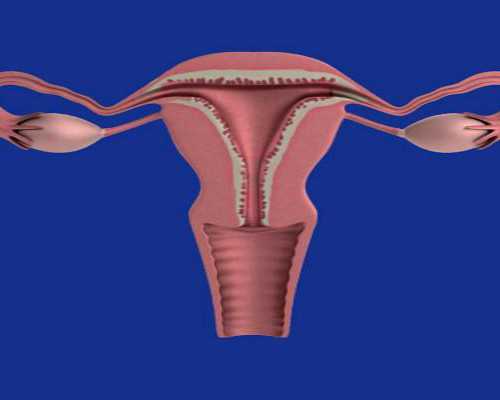 水族箱潜水泵安装视频_青年艺术家作品的价格「秘密」
