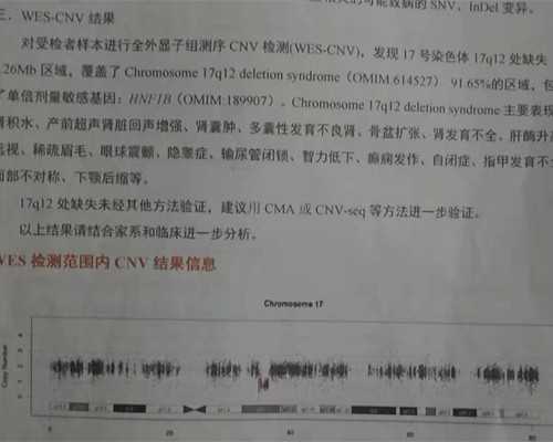 怀孕可以到香港验血吗_美亚香港验血准不准_性别鉴定需要注意什么条件