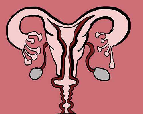 污水切割泵说明书_文物专家王蔚波应邀为许昌易健堂题字