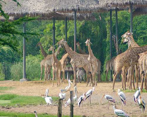 香港验血5周会不会太早_香港验血测性别一般多久出结果,希望可以提醒到你