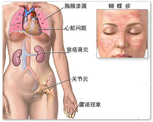 香港验血确认孩子性别_香港验血验胎儿性别准吗_亲身经历告诉你最全流程!