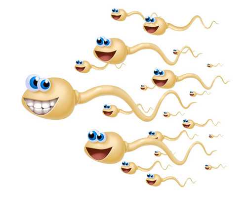 自吸泵水封_中国书协召开2026年度工作会议