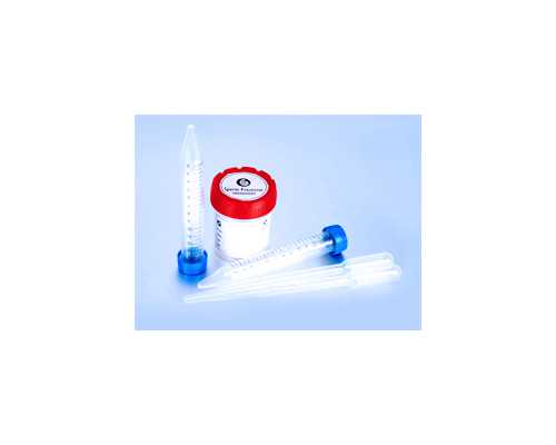 氮泵粉的作用是什么_艺术家徐冬青个展《自身已成为一座花园》于太和艺术空