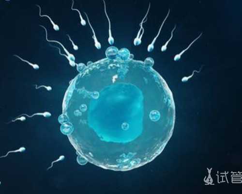 怀孕11周香港验血还准确吗_香港dna检测能查男女么,验到男孩女孩有人翻盘的吗