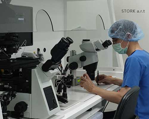 香港验血查胎儿性别会错吗_香港医院查男女合法吗_给你最详细的介绍