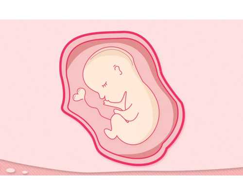 香港养和医院验血查胎儿性别_关于香港验血查男女准不准，给你最详细的介绍