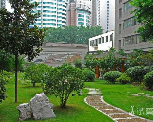 怀孕七周香港验血_香港验血最准的医院_让亲历者用事实来讲述真相