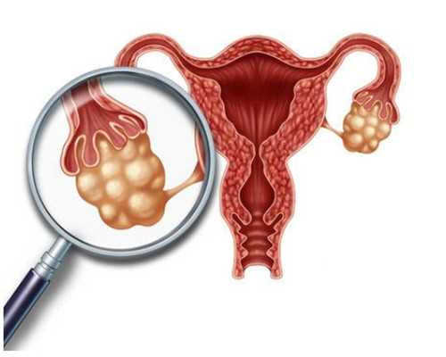 香港验血超过8周可以吗_去香港验血多少天最准_验血查性别最权威的是哪家