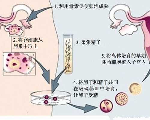 孕9 2香港验血13个D_香港验血满7周_验血女孩竟然翻盘!