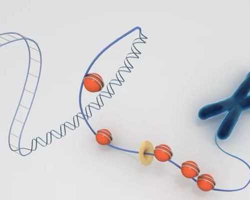 水喷射真空泵原理图_游资炒作陈皮收藏
