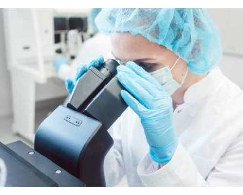 香港验血13周可以验吗_作文我把幸福告诉你600字急！作文我把幸福告诉你