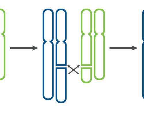 香港两次验血结果不一致_香港9周可以验血准不准,验血女孩竟然翻盘