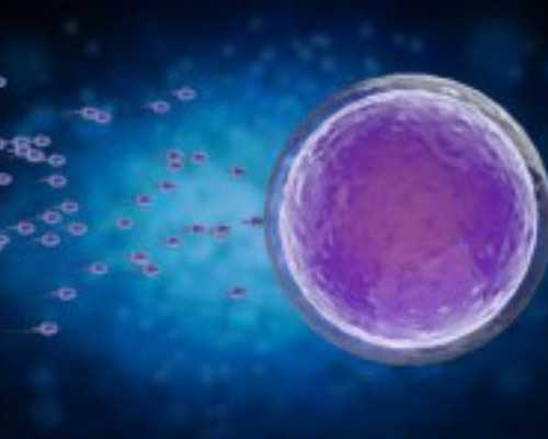 香港验血查男孩女孩_香港化验所验血女孩准不准_需要预约吗具备什么条件