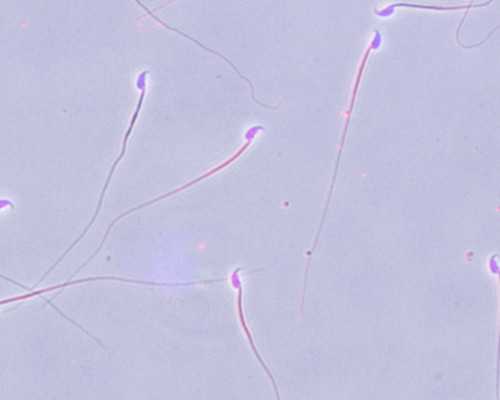 一体化污水提升泵站销售_崖柏——到底骗了多少人？