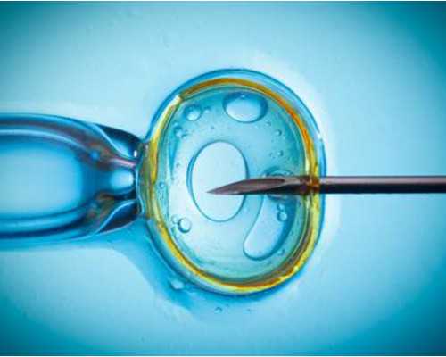 泵车的拼音怎么写_设计并非创新 而是发现