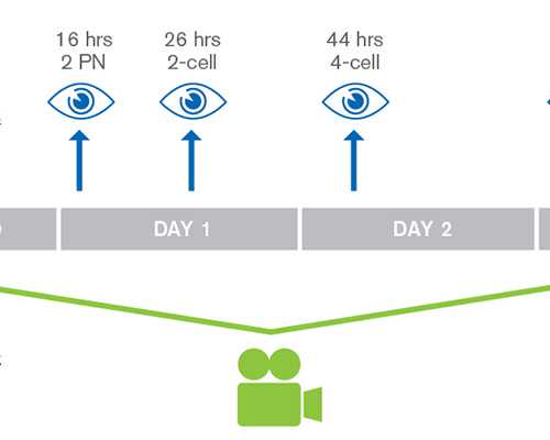 生化后一个月怀孕去香港验血会影响结果吗_香港康盈验血准不准_需要准备什么