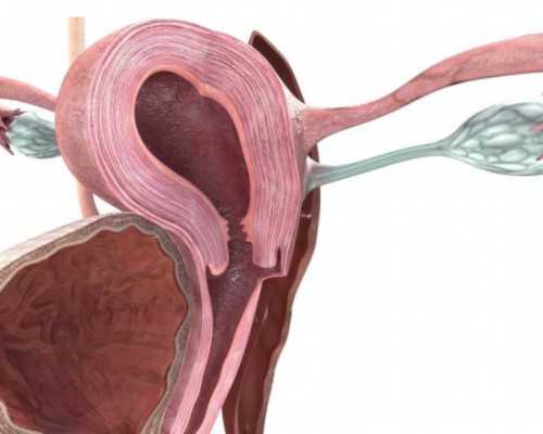 香港验血邮寄会被骗吗_在香港查男女多少钱?让亲历者用事实来讲述验血真相