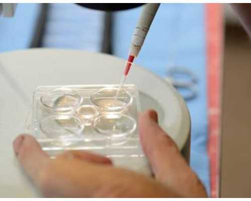 自吸泵没有缺水保护会怎样_唐揚げ日式炸鸡,kara-agechicken