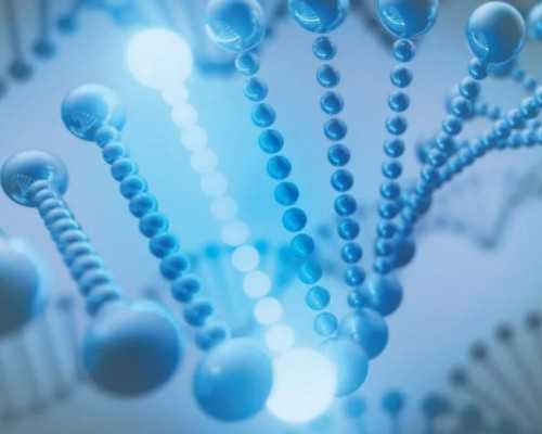 香港哪家医院验血查男女最准确_怀孕香港抽血查男女要满足什么条件？我的亲