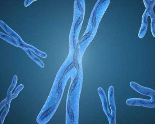 香港验血鉴定男女检查结果图_香港验血x却生了男孩女孩_你不知道的还有这么多