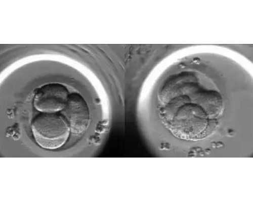 泵车操作证在哪里补办_吃面包的禁忌丹麦面包是“祸害”