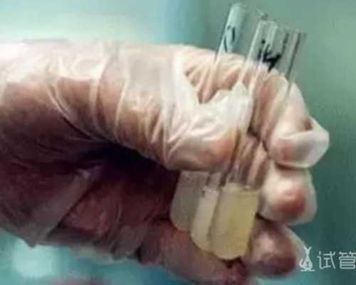 泵的大小怎么表示什么_清 彩绘敔