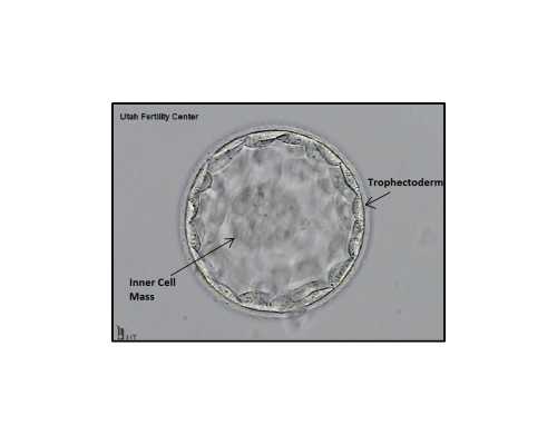 香港验血明天出结果好紧张_香港医院查男女多少钱一次_我来告诉你最全流程