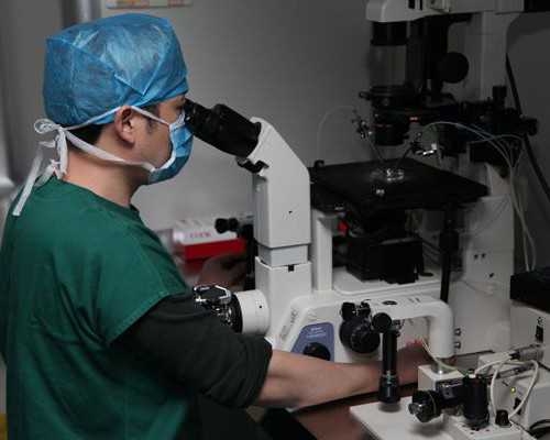 香港验血化验所地址_香港验血报告单准吗准不准_检测到有Y染色体却生的女孩