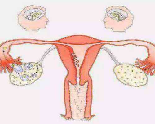 泵的厂家_王南溟：中国与西方之间的“批评性艺术”