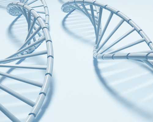 去香港验血太累会不会影响结果_香港化验血男准不准_该如何预约希望可以帮到