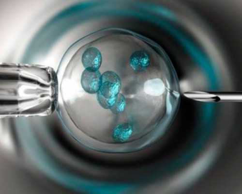 香港达雅高验血hkv.机构官网_怀孕香港验血晚上抽血可以吗_大陆可以验血查婴儿