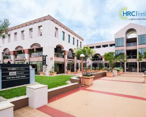 液压系统泵选型计算_重碑不贬帖的海派画家李瑞清