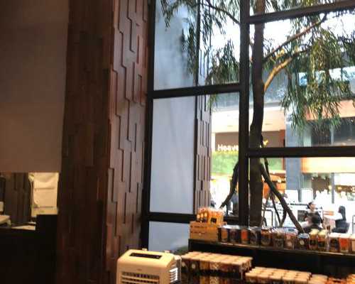 无创dna和香港验血哪个准_应对新型冠状病毒,我们该怎么预防?