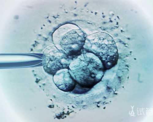 香港验血几周最合适_香港验血达雅高准禁绝?总结了下个人经历跟我们共享下