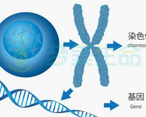 香港验血查男女Y染色体呈阳性_验血查男女费用_需要提前几天预约
