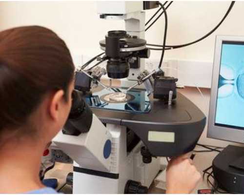 香港验血靠谱机构_香港能验血识性别_验血女孩竟然翻盘!