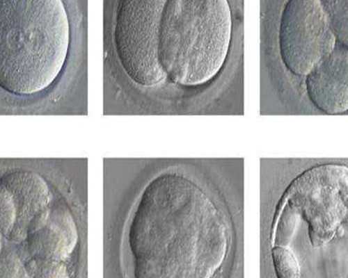 香港亲子验血准确_怀孕多久可以去香港查性别？让亲历者用事实来讲述真相