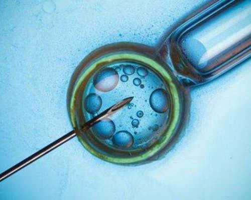 送香港验血几天知道结果_香港一滴血验性别一般多少钱？分享给大家你所不知