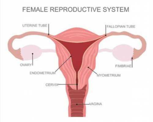 香港验血医院推广公众号搜笑全_香港权威化验所：产后腹部有赘肉怎么减