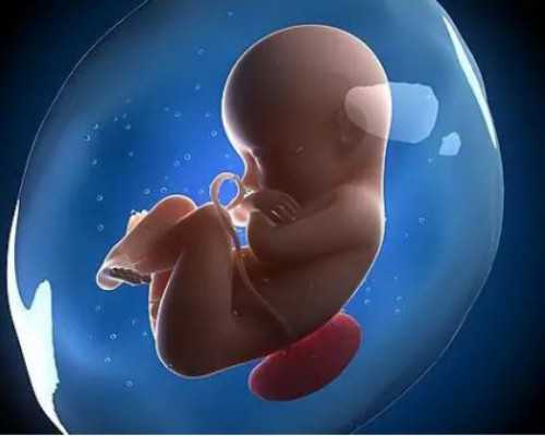 怀孕香港验血几周_香港什么地方查男女_验血查男女哪家最准